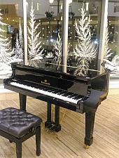 Canadian Heintzman G186 AP  2021