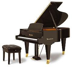 Bosendorfer 170   2020